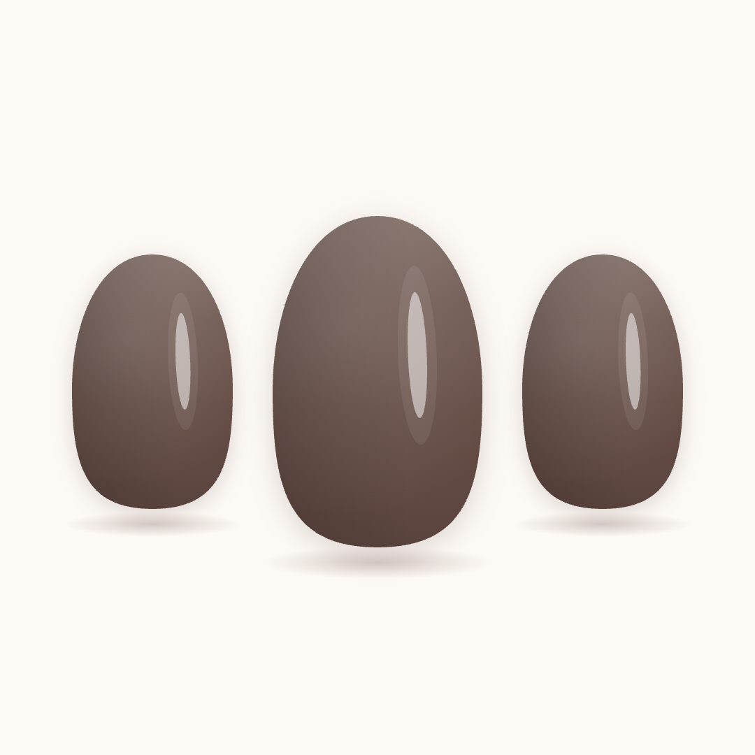 Neilé Dark Brown — oval short