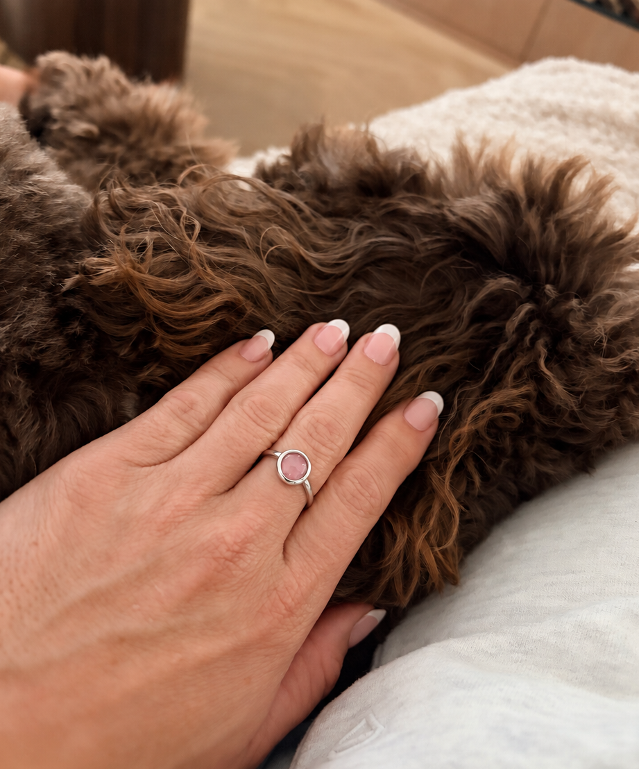 French gelwraps op hand met hond